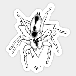 Fig 1. Salticidae Sticker